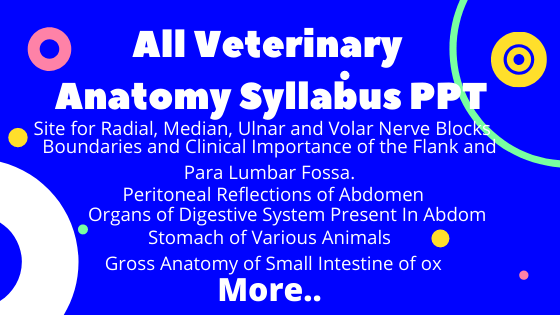 All Veterinary Anatomy Syllabus PPT