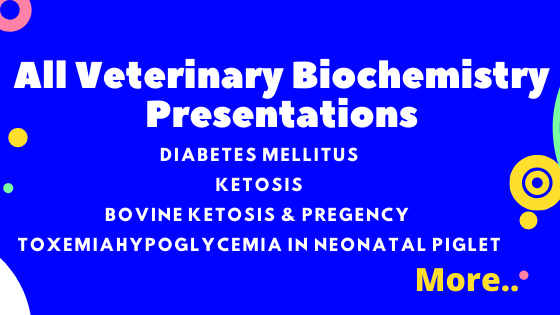 All Veterinary Biochemistry Presentations
