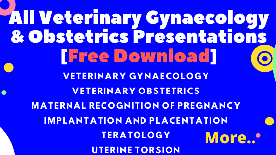 All Veterinary Gynaecology & Obstetrics Presentations [Free Download]