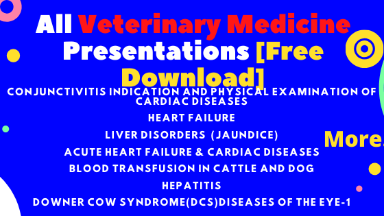 All Veterinary Medicine Presentations [Free Download]