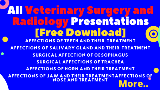 All Veterinary Surgery and Radiology Presentations [Free Download]