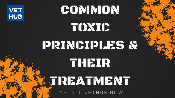 COMMON TOXIC PRINCIPLES & THEIR TREATMENT