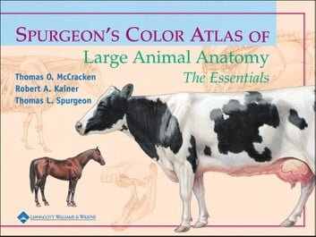 veterinary anatomy ebook