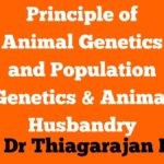 Principle of Animal Genetics and Population Genetics Animal Husbandry • Principles of Animal Genetics and Population Genetics - Thiagarajan R